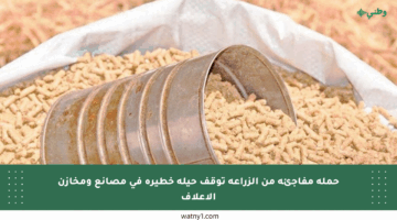 حملة مفاجئة من الزراعة توقف حيلة خطيرة في مصانع ومخازن الأعلاف
